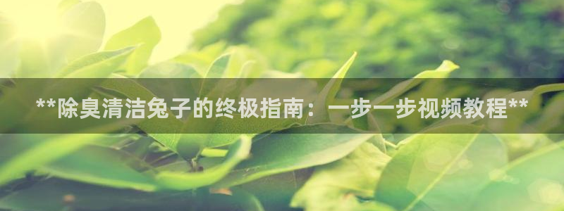 尊龙版末代皇帝