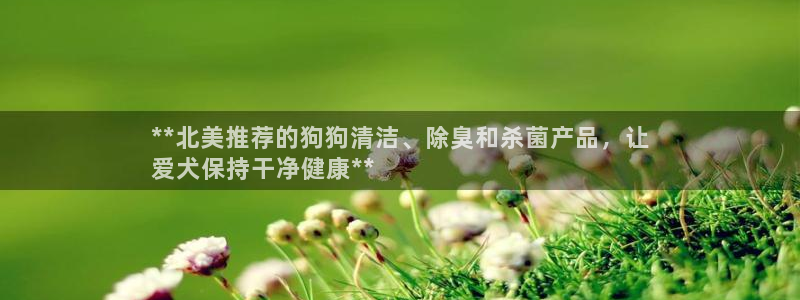 尊龙t600怎么样