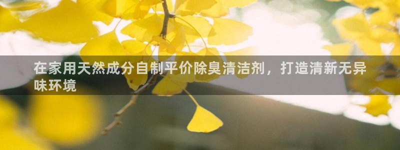 尊龙官方网址