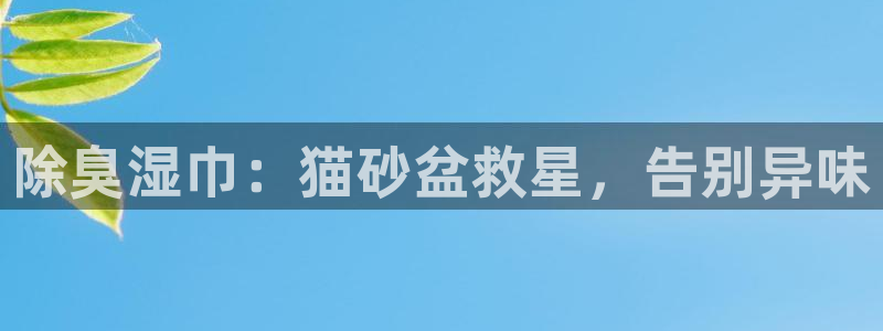 尊龙服饰有限公司地址：除臭湿巾：猫砂盆救星，告别异味