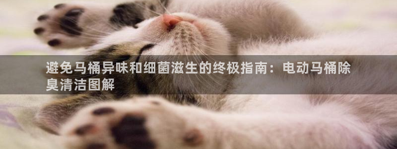 尊龙凯时注册入口：避免马桶异味和细菌滋生的终极指南：电动