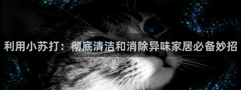 尊龙凯时不朽情缘：利用小苏打：彻底清洁和消除异味家居必备