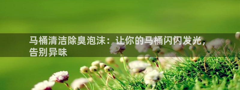 尊龙凯时麻将胡了
