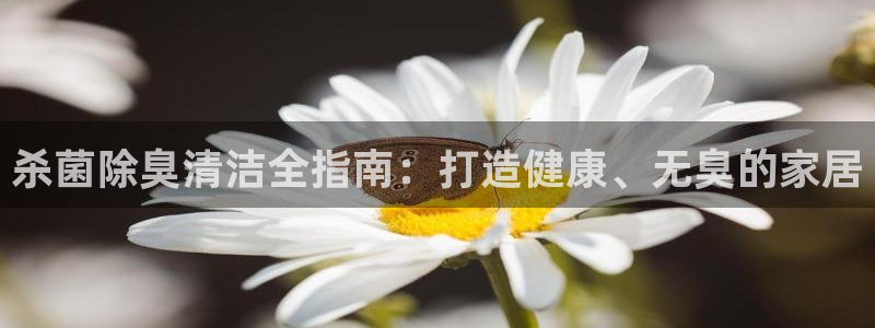 尊龙凯时提款一直审核中：杀菌除臭清洁全指南：打造健康、无
