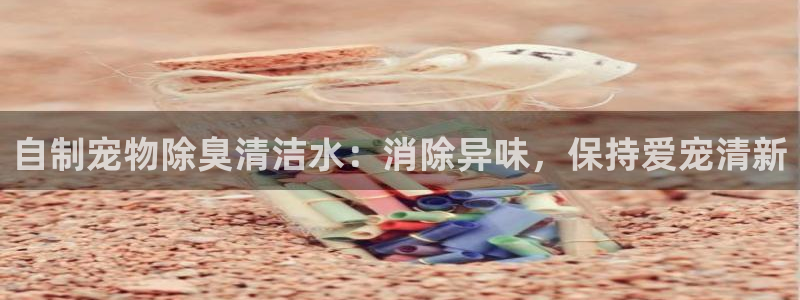 尊龙凯时怎么注销账号