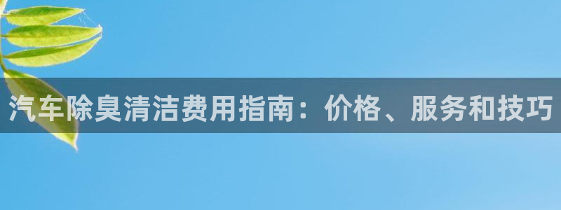 尊龙凯时d3563：汽车除臭清洁费用指南：价格、服务和技
