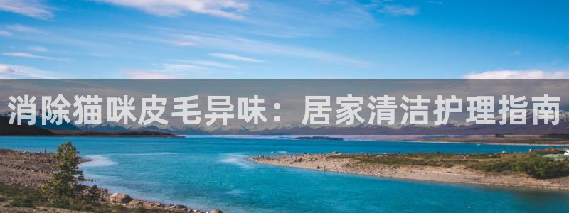 尊龙z6网址：消除猫咪皮毛异味：居家清洁护理指南