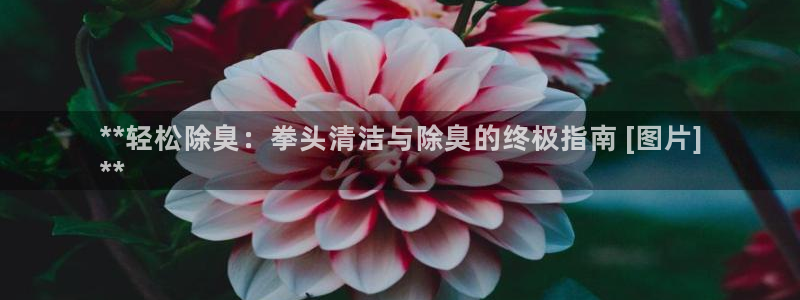 尊龙体育怎么样：**轻松除臭：拳头清洁与除臭的终极指南 