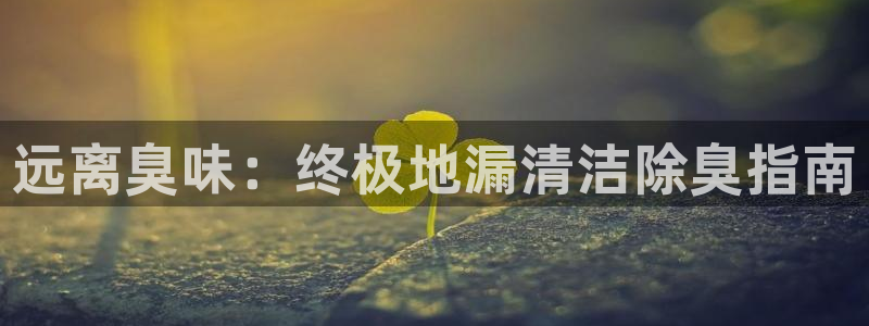尊龙凯时代理官网入口