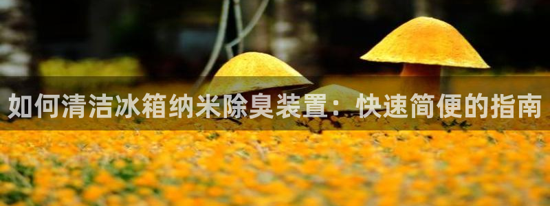 凯时kb88kb88：如何清洁冰箱纳米除臭装置：快速简便