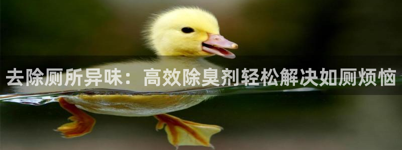 尊龙网站下分慢：去除厕所异味：高效除臭剂轻松解决如厕烦恼