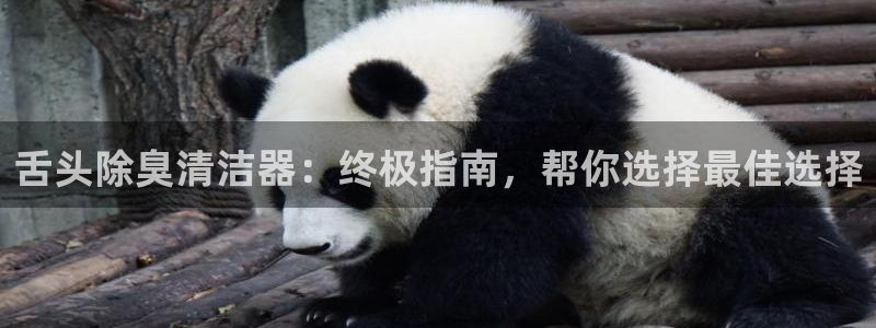 尊龙凯时：舌头除臭清洁器：终极指南，帮你选择最佳选择