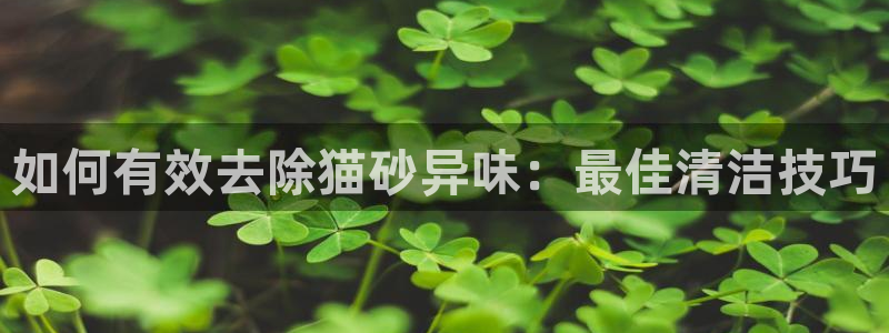 尊龙凯时平台官网