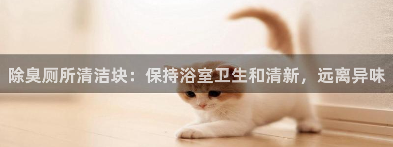 凯时旗舰厅App下载：除臭厕所清洁块：保持浴室卫生和清新