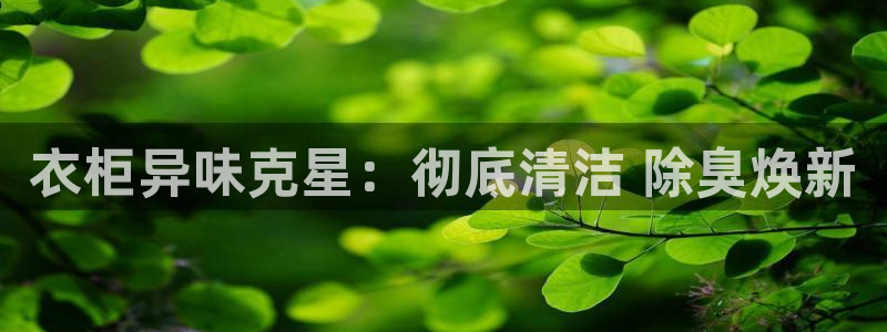尊龙凯时怎么注册：衣柜异味克星：彻底清洁 除臭焕新