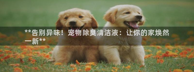 尊龙凯时官网