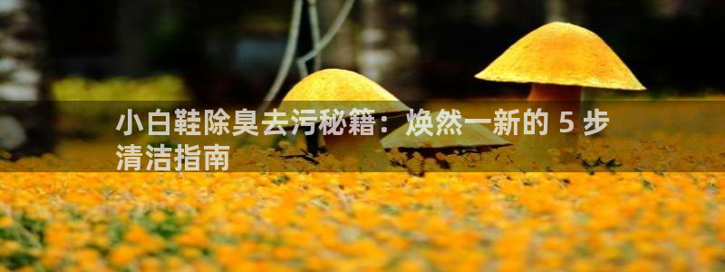 尊龙凯时人生就博官网