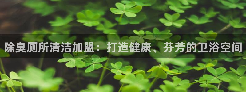 尊龙注册码：除臭厕所清洁加盟：打造健康、芬芳的卫浴空间