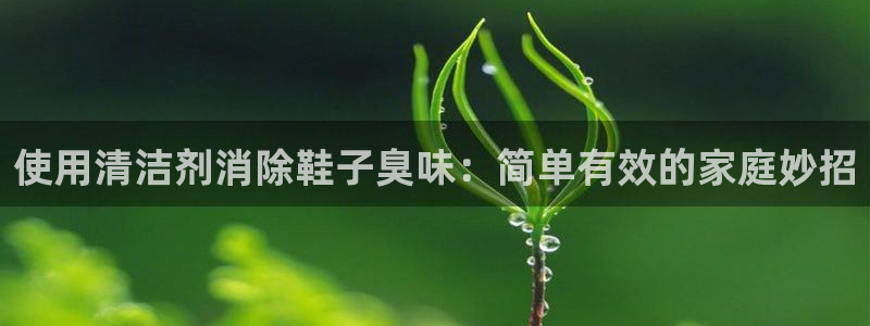 尊龙,人生就是博!登录国际：使用清洁剂消除鞋子臭味：简单