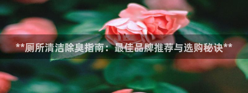 尊龙是什么软件：**厕所清洁除臭指南：最佳品牌推荐与选购