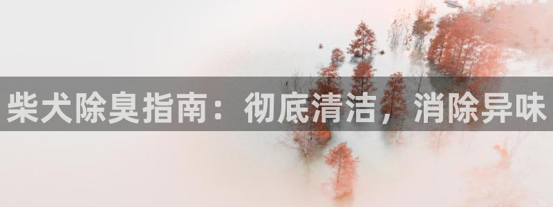 尊龙官方网站：柴犬除臭指南：彻底清洁，消除异味
