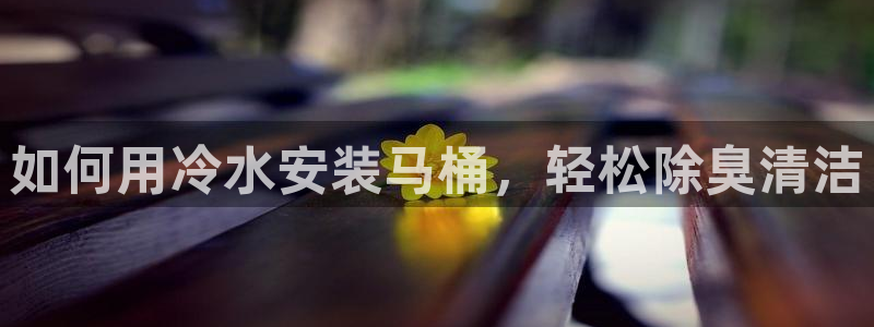 尊龙d88官网登录下载：如何用冷水安装马桶，轻松除臭清洁