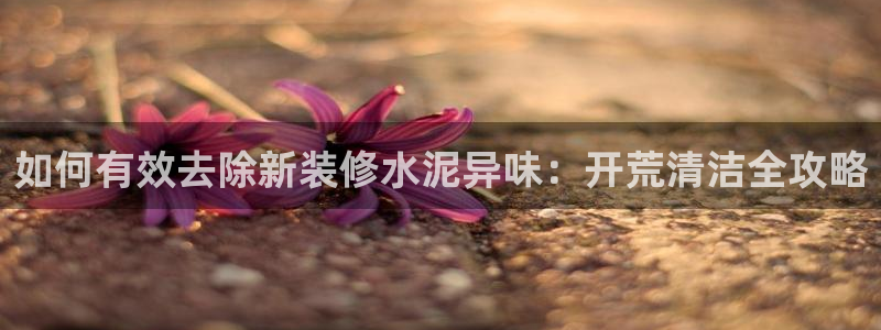 尊龙官网手机版下载