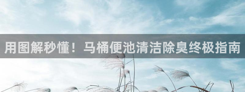 尊龙人生就是-首页：用图解秒懂！马桶便池清洁除臭终极指南