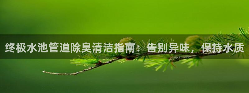 尊龙人生就是博旗舰厅：终极水池管道除臭清洁指南：告别异味