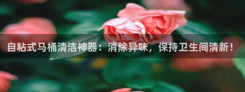 z6尊龙凯时旗舰厅首页：自粘式马桶清洁神器：消除异味，保