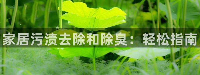 尊龙ag旗舰