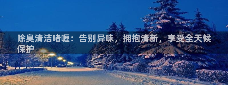 agz6尊龙凯时集团：除臭清洁啫喱：告别异味，拥抱清新，