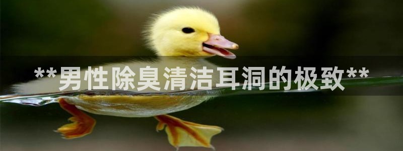 尊龙凯时提不了款：**男性除臭清洁耳洞的极致**