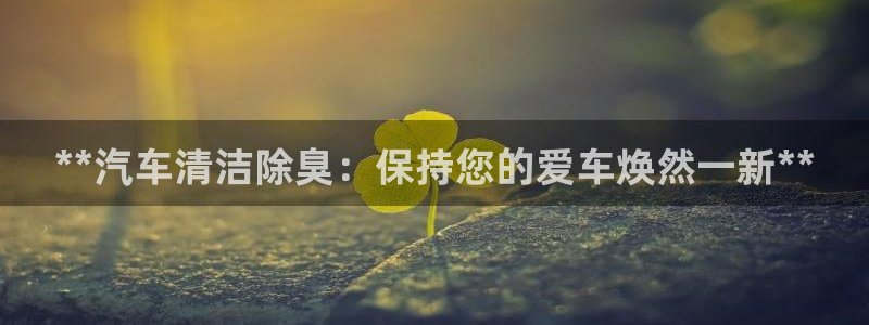 z6com尊龙：**汽车清洁除臭：保持您的爱车焕然一新*
