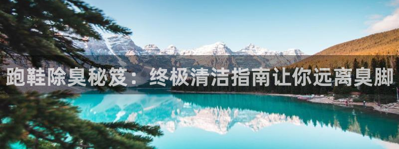 尊龙凯时法拉币