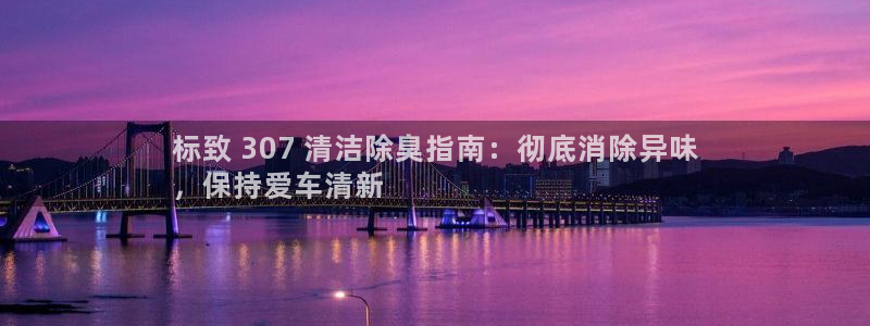 尊龙APP客户端平台：标致 307 清洁除臭指南：彻底消