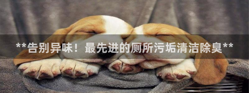 尊龙凯时游戏厅：**告别异味！最先进的厕所污垢清洁除臭*