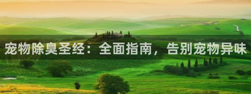 尊龙凯时官网首页：宠物除臭圣经：全面指南，告别宠物异味