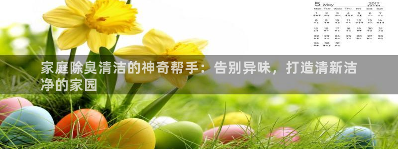 凯时kb88会员登录：家庭除臭清洁的神奇帮手：告别异味，