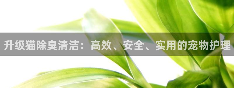 尊龙凯时ag旗舰厅试玩