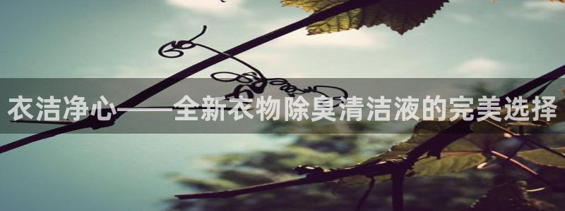 尊龙人生就是博AG