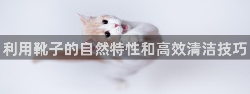 尊龙人生就是博电脑版