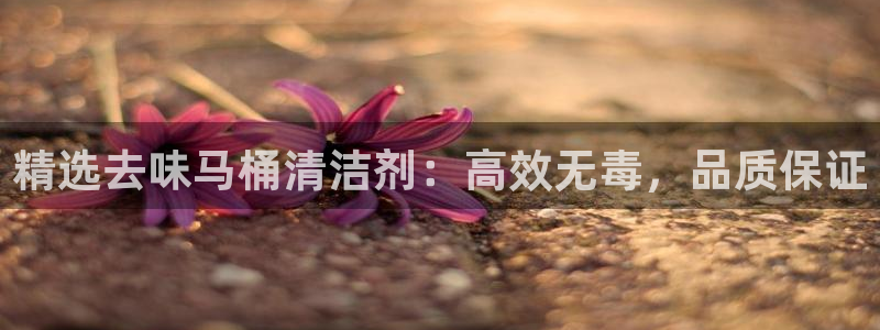 凯时k8官网首页