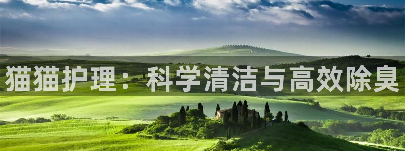 尊龙网页