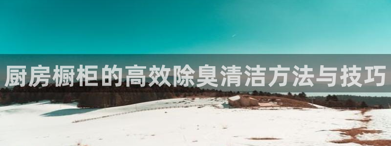 尊龙旗舰app