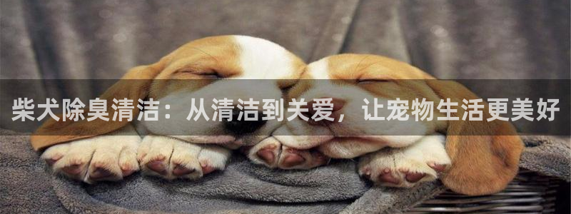 尊龙现金d88