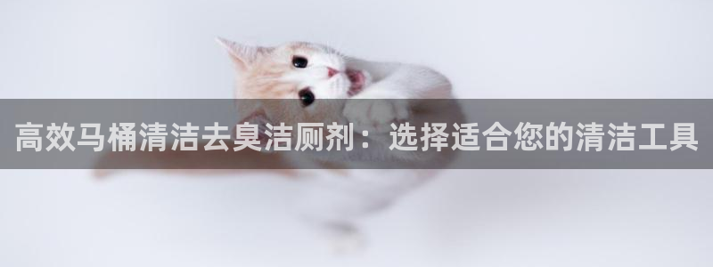 尊龙人生就是博旧版
