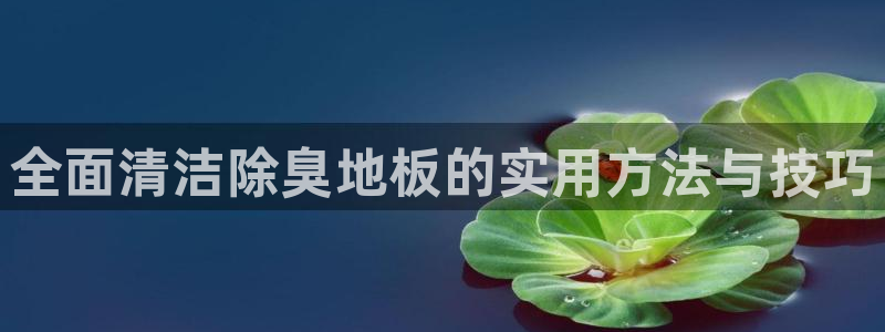 尊龙凯时怎么样没听说过