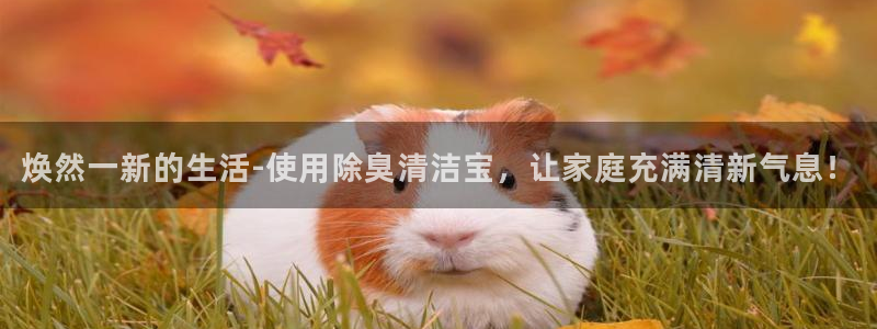 尊龙人生就是博客服