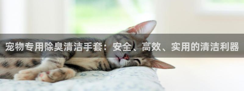 尊龙凯时 人生就是搏!平台